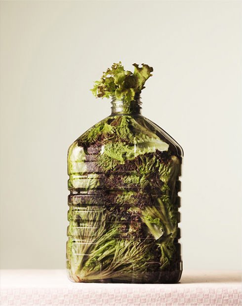Still Life Photographs of Various Foods Crammed into Bottles pic3