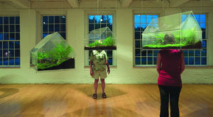 UR exhibit offers a different perspective on landscapes