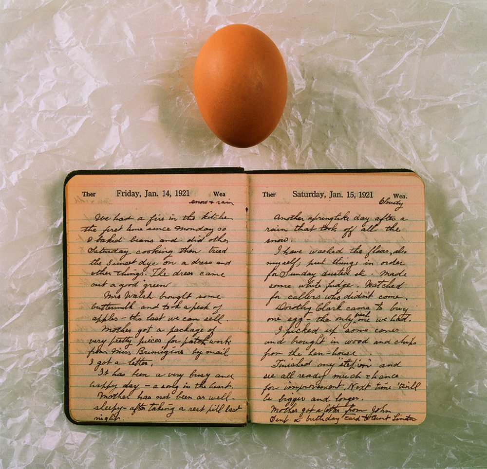 “Egg Diary”